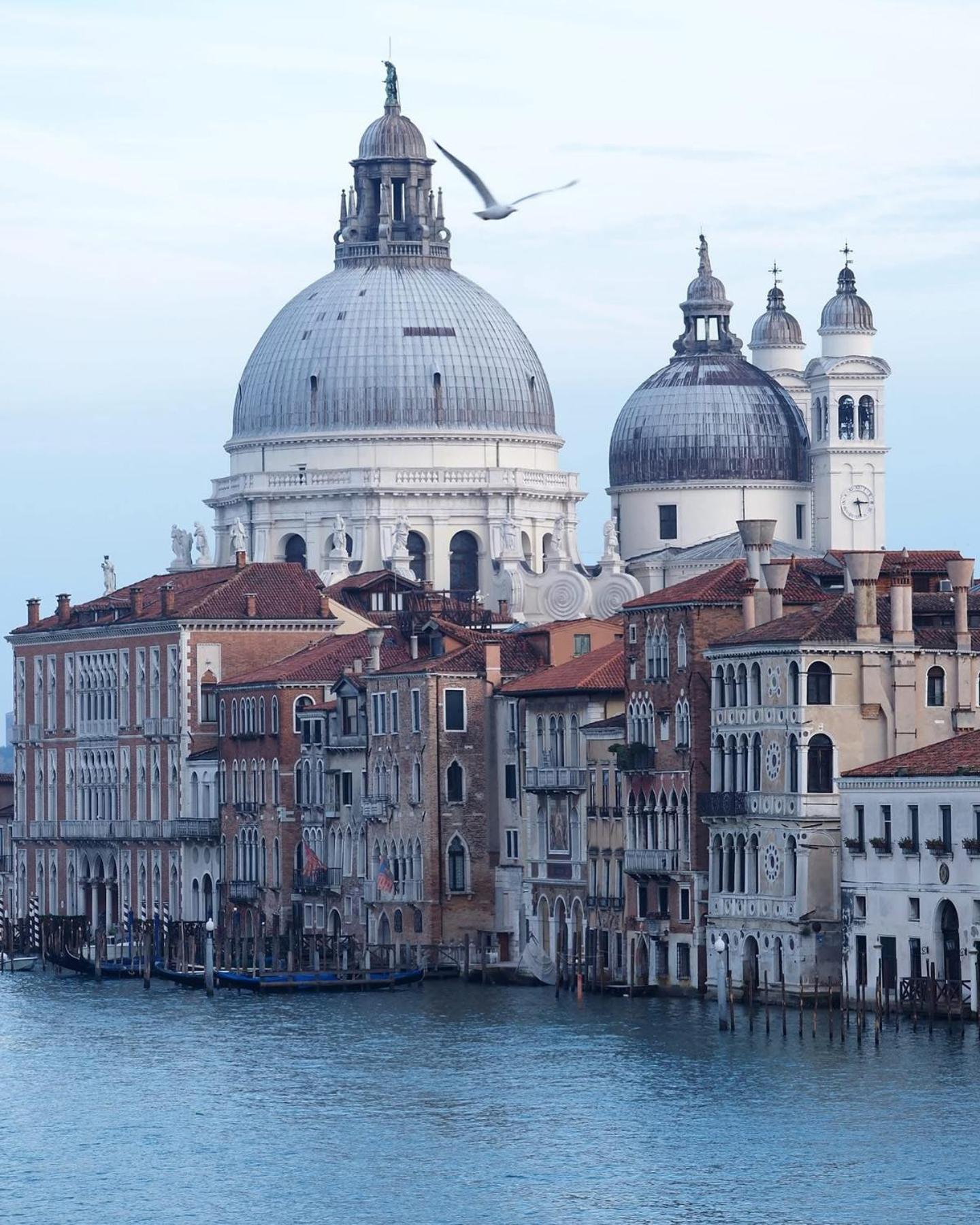 President Venezia
